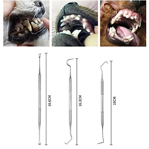 Symphonyw Calculus Remover for Dog 3pcs Stainless Steel Tarter Remover Oral Tool Pet Dog Cat Dental Teeth Cleaning Tools (3PCS) - Image 3