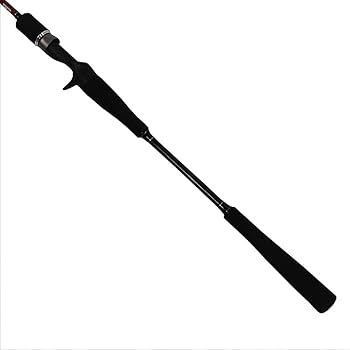 Amazon | ソルフィエスタ(Solfiesta) SOLFIESTA(ソルフェスタ