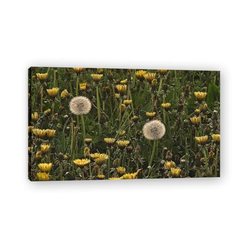 Tableau de pissenlit blanc moderne peinture fleurs de nature