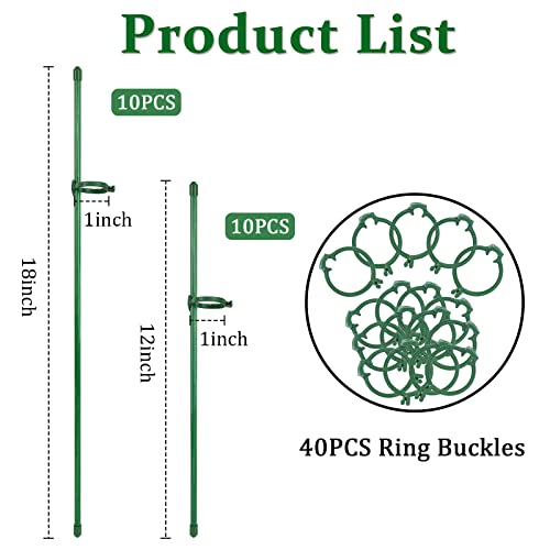 60Pcs Plant Stakes Set, Novwang 20Pcs 2 Sizes Plant Support Stakes With 40Pcs Ring Clips Adjustable Green Garden Sticks Stakes Single Stem Indoor For Flowers Plants Vine Bean Peony Orchid Tomato #TOP1