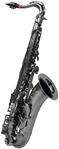 Amazon Cannonball T5b Iceb テナーサックス Big Bell Stone Series キャノンボール サックス 楽器 音響機器 Amazon Cannonball T5b Iceb テナーサックス Big Bell Stone Series キャノンボール サックス 楽器 音響機器