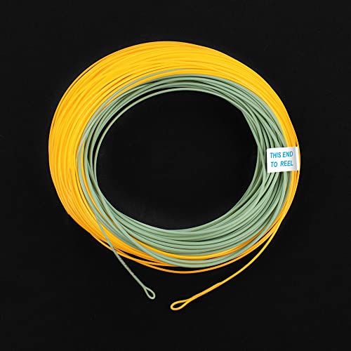 Image of HERCULES Fly Fishing Line Floating Weight Forward Fly Line with Double Welded Loop