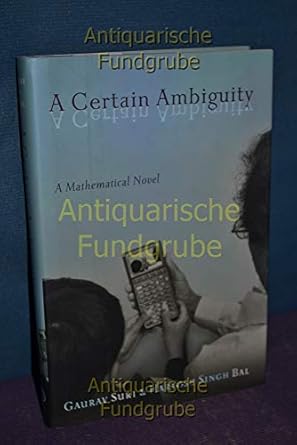 A Certain Ambiguity: A Mathematical Novel