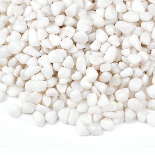 Image of 2.5 lbs Small White Rocks for Planters, 3 /8 inch White Pebbles for Vases, Decorative Small Stones for Plants, Succulents, Bamboo, Terrarium, Landscape, Garden