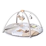 Mini Dream Baby Playmat - Activity Gym & Play Mat with Detachable Activity Toys - Suitable from Birth to 36 Months