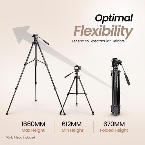 Image of DIGITEK (DPTR 990VD) 166cm Platinum Heavy Duty Tripod with Fluid Video Head, 15kg Max Load, Professional Bubble Level, Spreader, Anti-Skid Pad, 3-Section Adjustment, for Camcorder, DSLR & DV Cameras