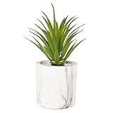 EBUYOM Artificial Succulents Agave Sisalana Plants Faux Plants Potted Plants Fake Bonsai Home Office Decoration Garden DIY Greenery Set