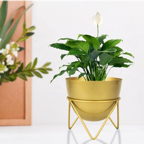 Urban Plant Ember Gold Metal Planter - Stylish Decorative Pot for...