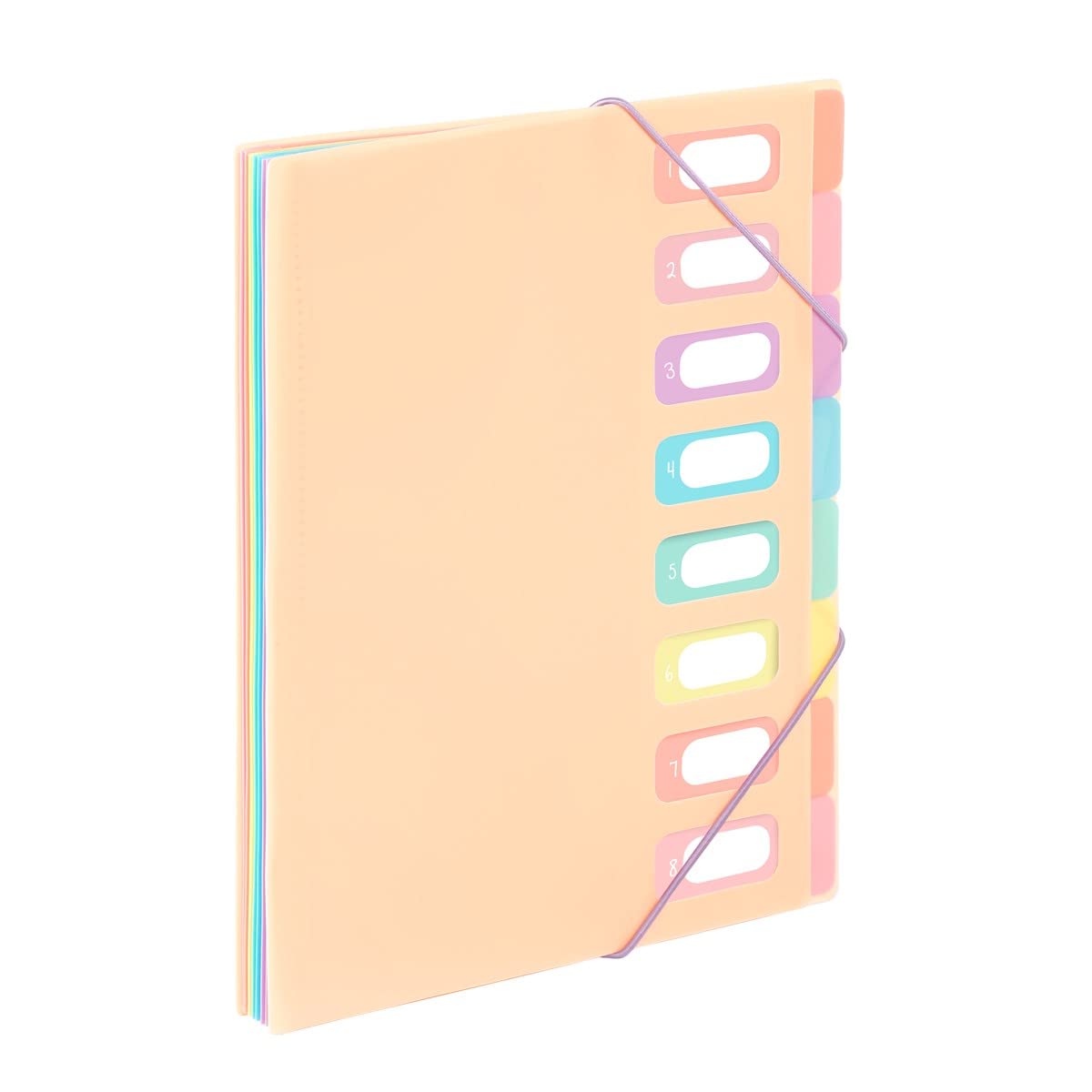 Viquel - A4 Document Organiser with 8 Compartments Rainbow Pastel Beige
