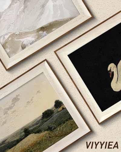 viyyiea framed wall art for living room swan art canvas prints vintage home decor animals painting picture bathroom wall decor gifts for friends or family - 12l x 10w