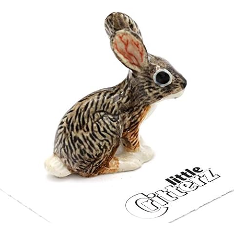 Little Critterz "Bounder" Jackrabbit LC109 Cover