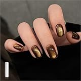 GAOY Jelly Brown Cat Eye Gel Nail Polish, 16ml Glitter Holographic Nail Polish with Magnet, Reflective Translucent UV Gel, 3092 Cocoa Shine