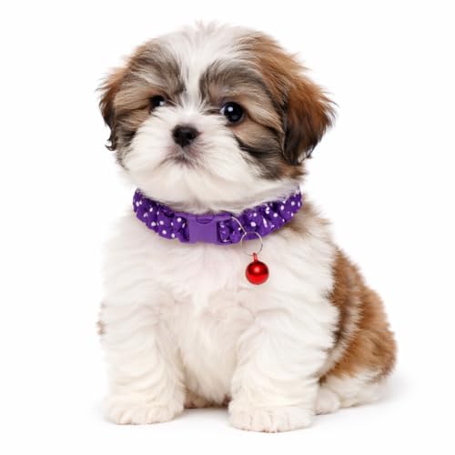 Image of Emily Pets Cute Cat Collar for Girl Boy, Colorful Breakaway Cat Collars with Bell, Adjustable Printed Nylon woth Safety Buckles Kitten Collar (Color May Vsry, 1 Piece)