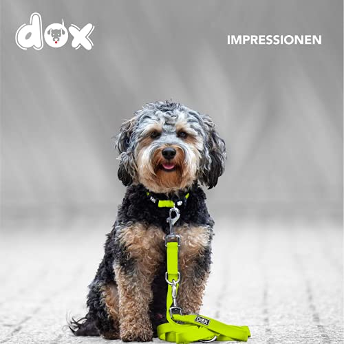 DDOXX Nylon Hundeleine - 2m, 3fach verstellbare Hundeleine für alle Hundegrößen - M (Gelb)