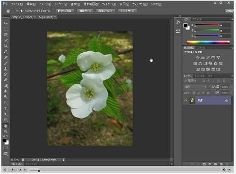 Amazon Com 本で読むより10倍早い Cs6完全対応 Adobe Illustrator Photoshop Cs6 動画による使い方 講座 Dvd Movies Tv