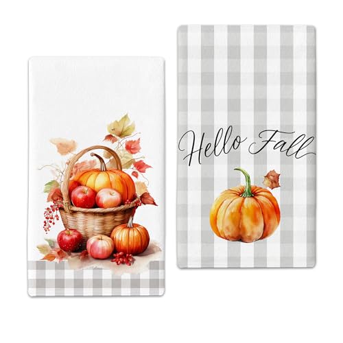 Hluvibbi Apple Pumpkin Basket Fall Kitchen Towels Decor Set of