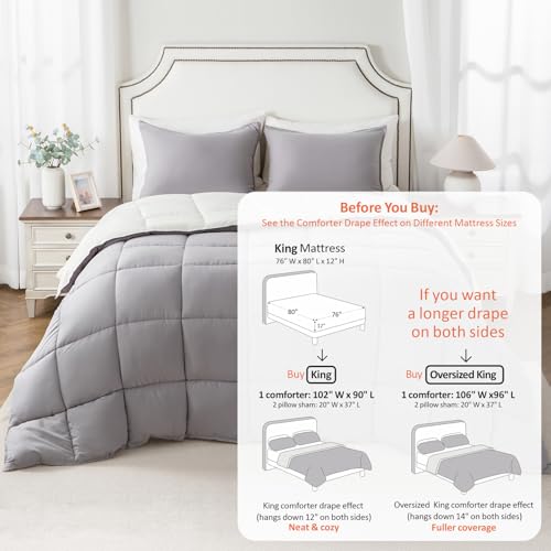 Image of KASENTEX King Comforter Set, Reversible, Goose Down Alternative, All Season | 250 GSM Fill, Ultra-Soft, Lightweight, Machine Washable, 1 Comforter + 2 Pillow Shams, Gull /Jet Stream