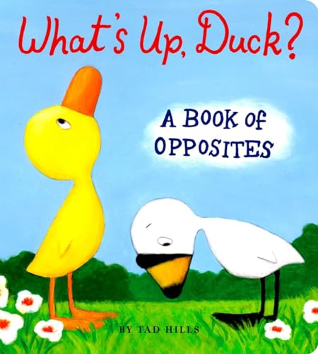 Image of What's Up, Duck?: A Book of Opposites (Duck & Goose)