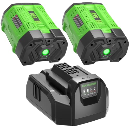 Image of 2 Packs Replacement for EGO 56V Battery 10Ah BA2800T and CH2100 Charger