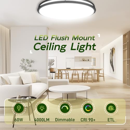 Image of hykolity 32 Inch Oval LED Ceiling Light,60W,4000LM,5CCT