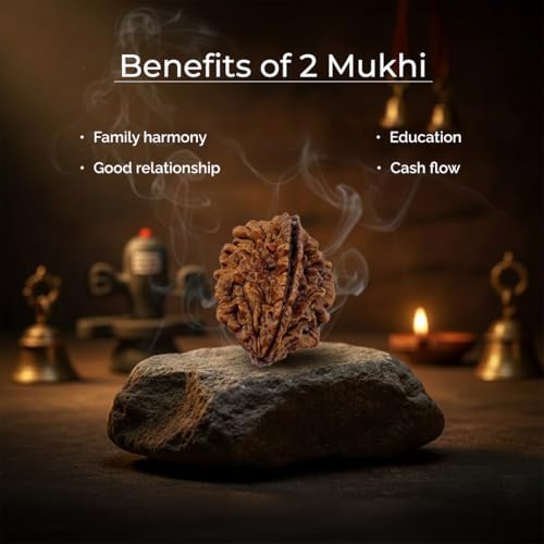 Image of Divine Hindu Original 2 Mukhi (Two Face) Indonesia Rudraksha | Do Mukhi Rudraksh Bead for Meditation, Protection & Spiritual Growth | Natural Rudraksha for Men & Women | Prayer Bead for Success