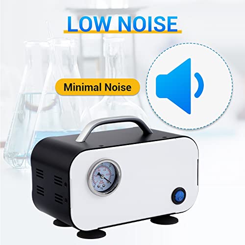 Lab Vacuum Pump, Oilless Diaphragm Vacuum Pump With Rubber Tube, Portable Small Laboratory Vacuum Filtration Pump (10L/Min) #TOP2