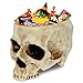 READAEER Skull Planter with Drain Hole, Resin Skull Shaped Flower Pot Candy Bowl, Gothic Decoration for Home Office Desk- White