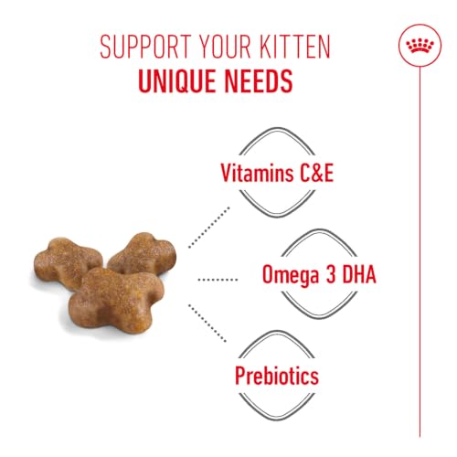 Image of Royal Canin Kitten Food for Stage 3 Kittens, 1.2 Kg, Dry Food, Supports Strong Immune System & Brain Development