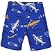 3 Piece Boy Swim Trunks and Rash Guard Sets Sun Hat Royal Surfing Shark Print UPF 50+ Bathing Suit Swimwear