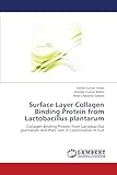 LAP Lambert Academic Publishing