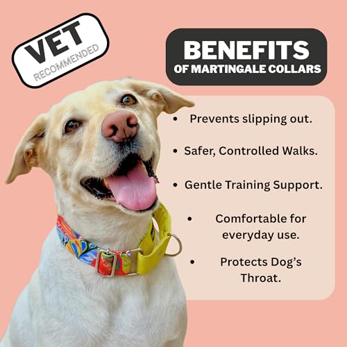 Image of Dog-O-Bow Cotton Red and Yellow Martingale Dog Collar, Durable, Comfortable & Adjustable Training Collar (Large)
