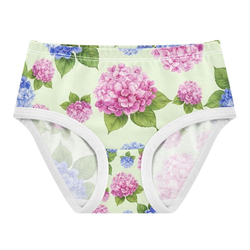 Watercolor Hydrangea Flowers Toddler Underwear, Girls