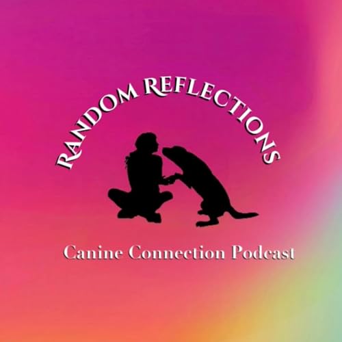 『Random Reflections: Sportsmanship』のカバーアート