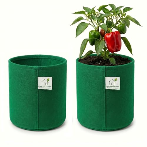 Image of 400 GSM Geo Fabric Round Grow Bags 24x24 Inch, Green Planting Bags for Terrace and Kitchen Gardening Pack of 2