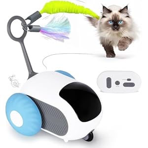 INFINIBYTE Cat Interactive Toy for Indoor Cats – Remote Control Cat Automatic Moving Toy with 2-Speed Adjustment, Smart Cat Car Toy,Boredom Busters for Cats Fun 2.0 Toy(Orange) (Blue)
