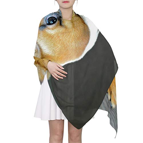MONTOJ Bufanda de novia con diseño de perro carlino perky, cálida, acogedora, chal de invierno grande para mujer
