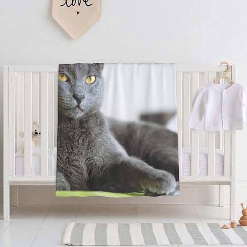 uPbg ѕzL L DF Ԃ y g _炩G Q 􂦂 G| v[g