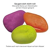 PetSafe Kurgo Apportierspielzeug für Hunde - Fördert das Spielen im Wasser und Bewegung - Langlebiges Schwimmspielzeug - Leuchtende Farben - Schwimmende Apportiersteine - Ungiftig - 3er-Pack