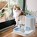 IEUDNS Automatic Pet Feeder Waterer, Cat Feeder, Dog Bowl, Removable Portable Water Dispenser, Blue