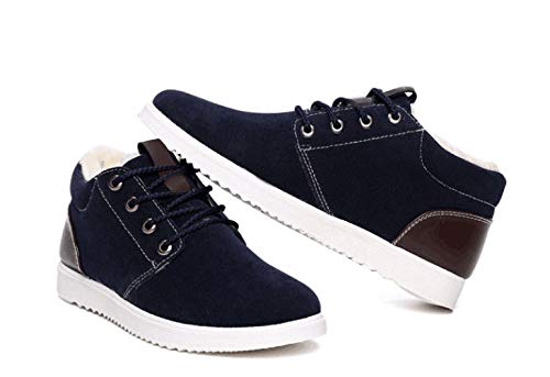 ]ԃtgfBC[aA_v^[ 34.9 ~[g 31.8 ~[gNvpN[TCNOANZT[jp[hoCN]ԗpqpLbg{gV[g