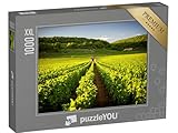Puzzles premium avec des images de premier choix : de professionnels de la photo pour les fans de puzzles