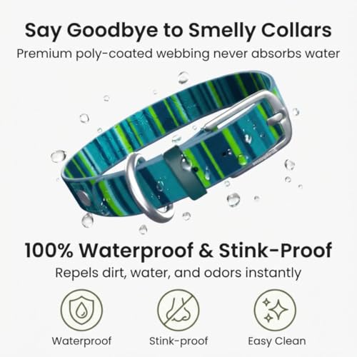 Image of Waterproof Dog Collar - Washable, Stink-Proof & Dirt-Proof - Soft, Odorless, Easy to Clean - Fade-Resistant, Durable for Medium & Large Dogs - Rust-Proof Metal Buckle (Teal-L 1 inch)