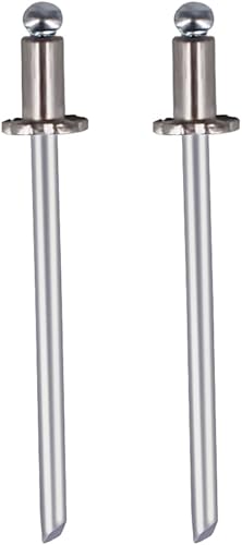 1 par de remaches de roseta GM NOS Dash de acero inoxidable para Ford Chrysler AMC VIN etiqueta de puerta