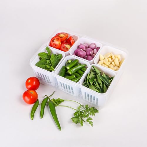 Image of KHEDU FAB 1 Pc's Refrigerator Storage Containers with 6 Drain Basket Fridge Storage Containers Organizer for Kitchen Fridge Storage Boxes Keep Fresh Chopped Green Ginger Garlic and Vegetables.