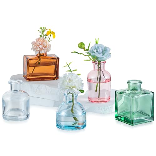 Glasseam Mini Kleine Vasen für Tischdeko: 5 Stück Bunte Glasvasen...