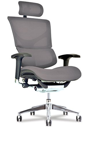 Healthy Back X Chair Office Desk Chair Ergonomic Lumbar