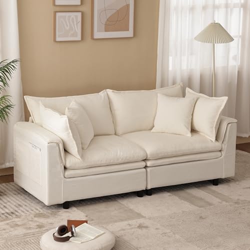 zzlay 80.4'' Sectional 2 Seat Cloud Loveseat with 4 Throw Pillows
