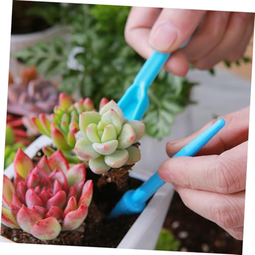 Kit de herramientas para plantas suculentas con bulbo y cepillo miniatura 4