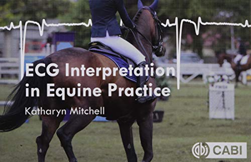 Ecg Interpretation In Equine Practice