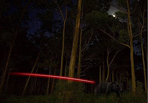 DEEPOWER S Lighted Nocks for Arrows .244/6.2mm 6/12 Pack Lighted Arrow Nocks for Archery Hunting (6 PCS/Red) by DEEPOWER - Image 5